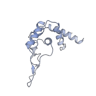 0599_6olf_ST_v1-1
Human ribosome nascent chain complex (CDH1-RNC) stalled by a drug-like molecule with AA and PE tRNAs