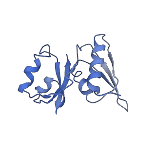 0599_6olf_SW_v1-1
Human ribosome nascent chain complex (CDH1-RNC) stalled by a drug-like molecule with AA and PE tRNAs