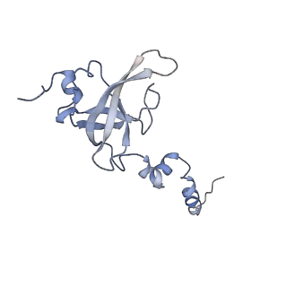 0599_6olf_SX_v1-1
Human ribosome nascent chain complex (CDH1-RNC) stalled by a drug-like molecule with AA and PE tRNAs