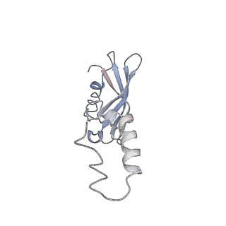 0599_6olf_SY_v1-1
Human ribosome nascent chain complex (CDH1-RNC) stalled by a drug-like molecule with AA and PE tRNAs