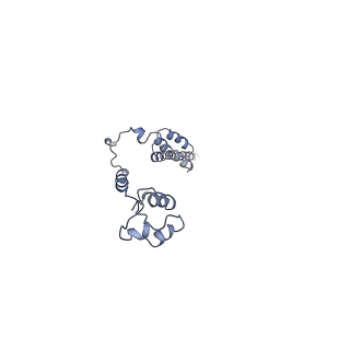 0599_6olf_S_v1-1
Human ribosome nascent chain complex (CDH1-RNC) stalled by a drug-like molecule with AA and PE tRNAs