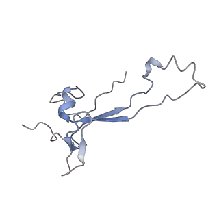 0599_6olf_Sa_v1-1
Human ribosome nascent chain complex (CDH1-RNC) stalled by a drug-like molecule with AA and PE tRNAs