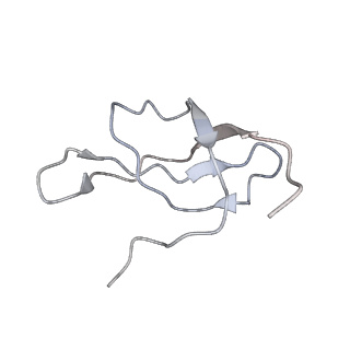 0599_6olf_Sc_v1-1
Human ribosome nascent chain complex (CDH1-RNC) stalled by a drug-like molecule with AA and PE tRNAs