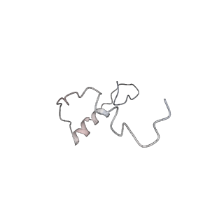 0599_6olf_Se_v1-1
Human ribosome nascent chain complex (CDH1-RNC) stalled by a drug-like molecule with AA and PE tRNAs