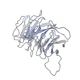 0599_6olf_Sg_v1-1
Human ribosome nascent chain complex (CDH1-RNC) stalled by a drug-like molecule with AA and PE tRNAs