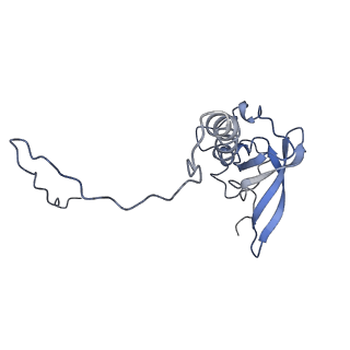 0599_6olf_U_v1-1
Human ribosome nascent chain complex (CDH1-RNC) stalled by a drug-like molecule with AA and PE tRNAs