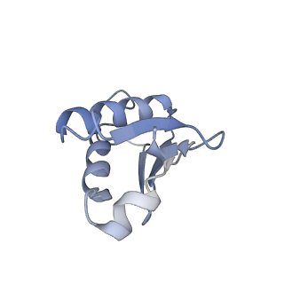 0599_6olf_V_v1-1
Human ribosome nascent chain complex (CDH1-RNC) stalled by a drug-like molecule with AA and PE tRNAs
