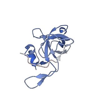 0599_6olf_W_v1-1
Human ribosome nascent chain complex (CDH1-RNC) stalled by a drug-like molecule with AA and PE tRNAs