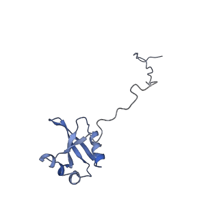 0599_6olf_Y_v1-1
Human ribosome nascent chain complex (CDH1-RNC) stalled by a drug-like molecule with AA and PE tRNAs