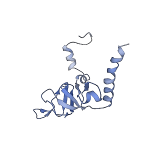 0599_6olf_Z_v1-1
Human ribosome nascent chain complex (CDH1-RNC) stalled by a drug-like molecule with AA and PE tRNAs