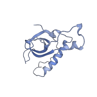 0599_6olf_a_v1-1
Human ribosome nascent chain complex (CDH1-RNC) stalled by a drug-like molecule with AA and PE tRNAs