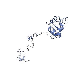 0599_6olf_b_v1-1
Human ribosome nascent chain complex (CDH1-RNC) stalled by a drug-like molecule with AA and PE tRNAs