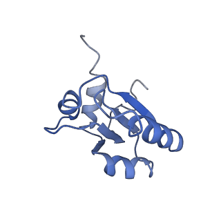 0599_6olf_d_v1-1
Human ribosome nascent chain complex (CDH1-RNC) stalled by a drug-like molecule with AA and PE tRNAs