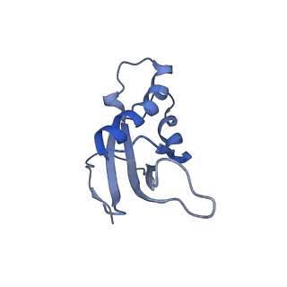 0599_6olf_e_v1-1
Human ribosome nascent chain complex (CDH1-RNC) stalled by a drug-like molecule with AA and PE tRNAs