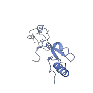 0599_6olf_f_v1-1
Human ribosome nascent chain complex (CDH1-RNC) stalled by a drug-like molecule with AA and PE tRNAs