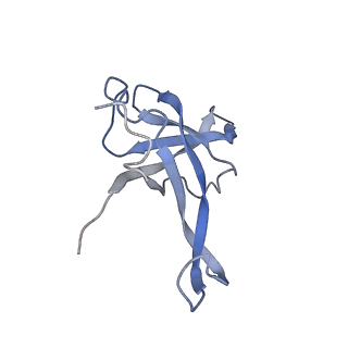 0599_6olf_g_v1-1
Human ribosome nascent chain complex (CDH1-RNC) stalled by a drug-like molecule with AA and PE tRNAs