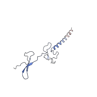 0599_6olf_h_v1-1
Human ribosome nascent chain complex (CDH1-RNC) stalled by a drug-like molecule with AA and PE tRNAs