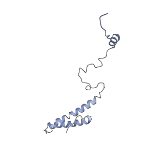 0599_6olf_i_v1-1
Human ribosome nascent chain complex (CDH1-RNC) stalled by a drug-like molecule with AA and PE tRNAs