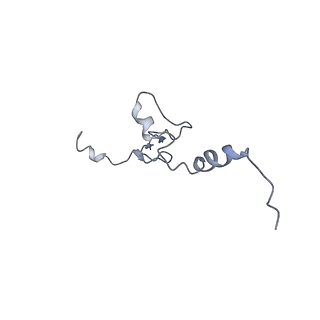 0599_6olf_k_v1-1
Human ribosome nascent chain complex (CDH1-RNC) stalled by a drug-like molecule with AA and PE tRNAs