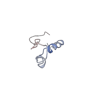 0599_6olf_m_v1-1
Human ribosome nascent chain complex (CDH1-RNC) stalled by a drug-like molecule with AA and PE tRNAs
