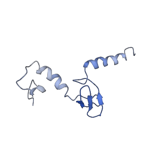 0599_6olf_q_v1-1
Human ribosome nascent chain complex (CDH1-RNC) stalled by a drug-like molecule with AA and PE tRNAs