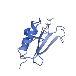 0599_6olf_r_v1-1
Human ribosome nascent chain complex (CDH1-RNC) stalled by a drug-like molecule with AA and PE tRNAs