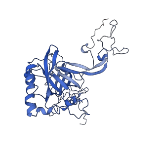 0600_6ole_B_v1-1
Human ribosome nascent chain complex (CDH1-RNC) stalled by a drug-like molecule with AP and PE tRNAs