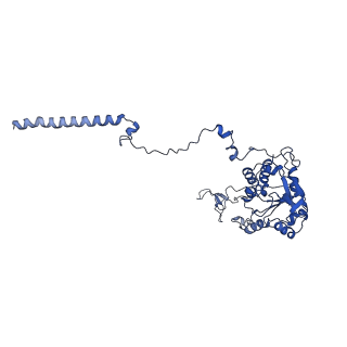 0600_6ole_C_v1-1
Human ribosome nascent chain complex (CDH1-RNC) stalled by a drug-like molecule with AP and PE tRNAs