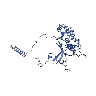0600_6ole_F_v1-1
Human ribosome nascent chain complex (CDH1-RNC) stalled by a drug-like molecule with AP and PE tRNAs