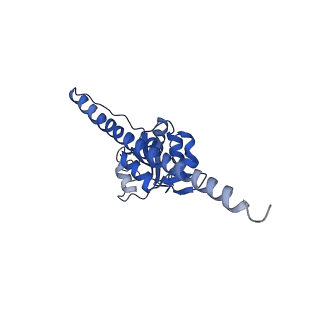 0600_6ole_H_v1-1
Human ribosome nascent chain complex (CDH1-RNC) stalled by a drug-like molecule with AP and PE tRNAs