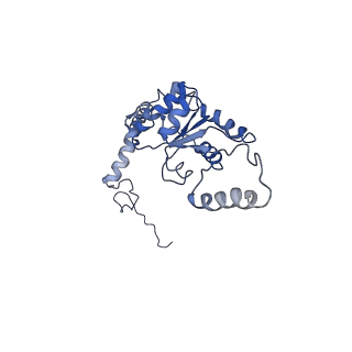 0600_6ole_I_v1-1
Human ribosome nascent chain complex (CDH1-RNC) stalled by a drug-like molecule with AP and PE tRNAs