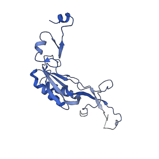 0600_6ole_K_v1-1
Human ribosome nascent chain complex (CDH1-RNC) stalled by a drug-like molecule with AP and PE tRNAs
