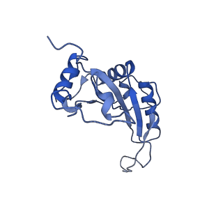 0600_6ole_L_v1-1
Human ribosome nascent chain complex (CDH1-RNC) stalled by a drug-like molecule with AP and PE tRNAs