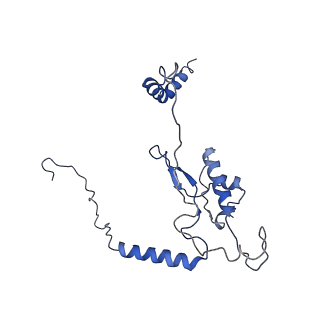 0600_6ole_M_v1-1
Human ribosome nascent chain complex (CDH1-RNC) stalled by a drug-like molecule with AP and PE tRNAs