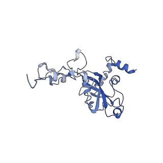 0600_6ole_O_v1-1
Human ribosome nascent chain complex (CDH1-RNC) stalled by a drug-like molecule with AP and PE tRNAs