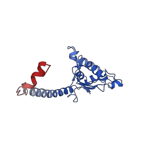 0600_6ole_P_v1-1
Human ribosome nascent chain complex (CDH1-RNC) stalled by a drug-like molecule with AP and PE tRNAs