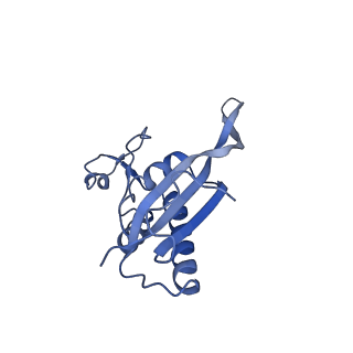 0600_6ole_Q_v1-1
Human ribosome nascent chain complex (CDH1-RNC) stalled by a drug-like molecule with AP and PE tRNAs