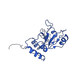0600_6ole_R_v1-1
Human ribosome nascent chain complex (CDH1-RNC) stalled by a drug-like molecule with AP and PE tRNAs