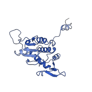 0600_6ole_SA_v1-1
Human ribosome nascent chain complex (CDH1-RNC) stalled by a drug-like molecule with AP and PE tRNAs