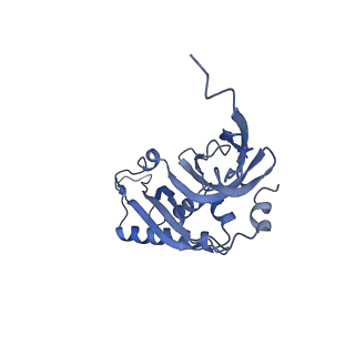 0600_6ole_SB_v1-1
Human ribosome nascent chain complex (CDH1-RNC) stalled by a drug-like molecule with AP and PE tRNAs