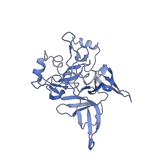 0600_6ole_SE_v1-1
Human ribosome nascent chain complex (CDH1-RNC) stalled by a drug-like molecule with AP and PE tRNAs