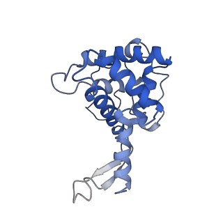 0600_6ole_SF_v1-1
Human ribosome nascent chain complex (CDH1-RNC) stalled by a drug-like molecule with AP and PE tRNAs