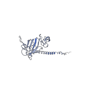 0600_6ole_SG_v1-1
Human ribosome nascent chain complex (CDH1-RNC) stalled by a drug-like molecule with AP and PE tRNAs