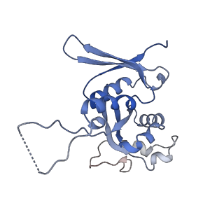 0600_6ole_SH_v1-1
Human ribosome nascent chain complex (CDH1-RNC) stalled by a drug-like molecule with AP and PE tRNAs
