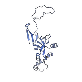0600_6ole_SI_v1-1
Human ribosome nascent chain complex (CDH1-RNC) stalled by a drug-like molecule with AP and PE tRNAs