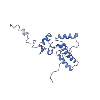 0600_6ole_SJ_v1-1
Human ribosome nascent chain complex (CDH1-RNC) stalled by a drug-like molecule with AP and PE tRNAs