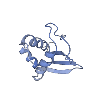0600_6ole_SK_v1-1
Human ribosome nascent chain complex (CDH1-RNC) stalled by a drug-like molecule with AP and PE tRNAs