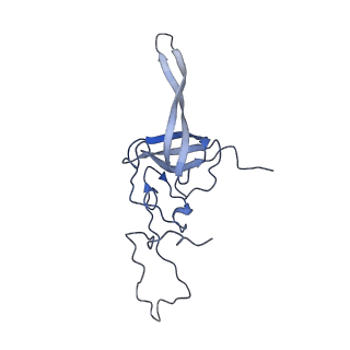 0600_6ole_SL_v1-1
Human ribosome nascent chain complex (CDH1-RNC) stalled by a drug-like molecule with AP and PE tRNAs