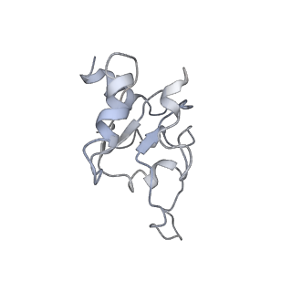 0600_6ole_SM_v1-1
Human ribosome nascent chain complex (CDH1-RNC) stalled by a drug-like molecule with AP and PE tRNAs