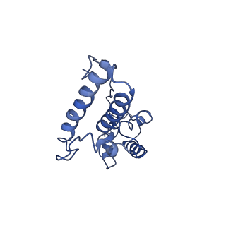 0600_6ole_SN_v1-1
Human ribosome nascent chain complex (CDH1-RNC) stalled by a drug-like molecule with AP and PE tRNAs